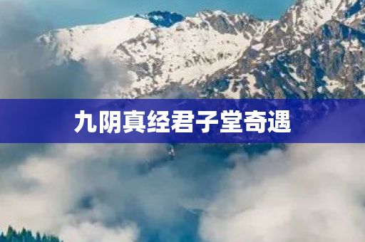 九阴真经君子堂奇遇 九阴真经君子堂奇遇