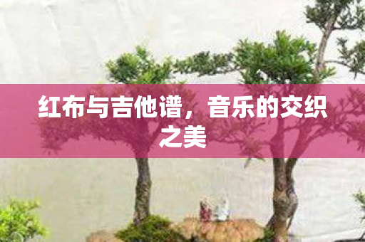红布与吉他谱,音乐的交织之美 红布与吉他谱,音乐的交织之美