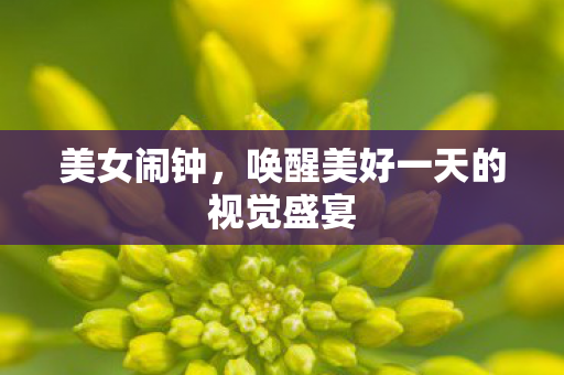 美女闹钟,唤醒美好一天的视觉盛宴 美女闹钟,唤醒美好一天的视觉盛宴