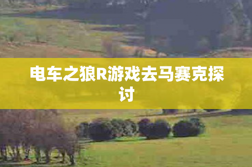 电车之狼R游戏去马赛克探讨 电车之狼R游戏去马赛克探讨