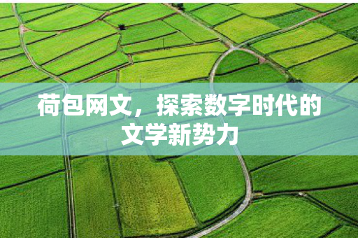 荷包网文，探索数字时代的文学新势力