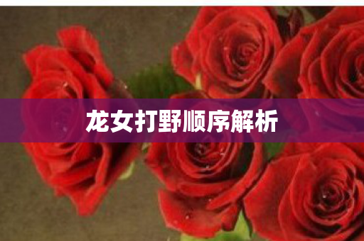 龙女打野顺序解析