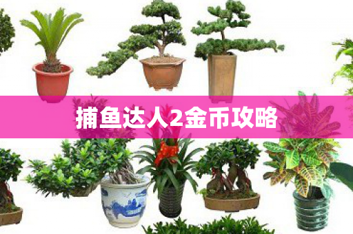 捕鱼达人2金币攻略