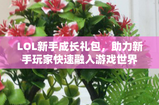 LOL新手成长礼包，助力新手玩家快速融入游戏世界
