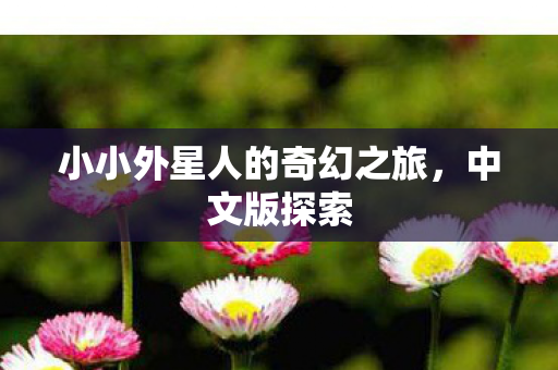 小小外星人的奇幻之旅,中文版探索 小小外星人的奇幻之旅,中文版探索