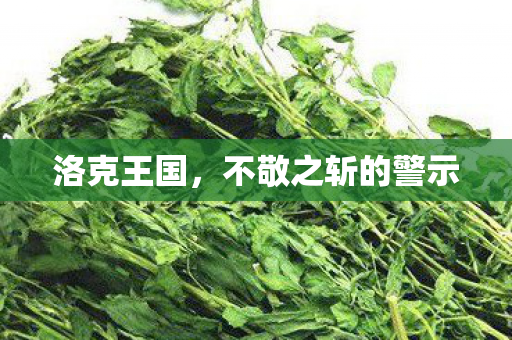 洛克王国，不敬之斩的警示