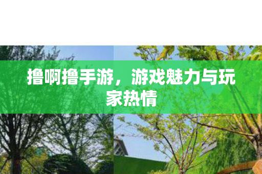 撸啊撸手游,游戏魅力与玩家热情 撸啊撸手游,游戏魅力与玩家热情