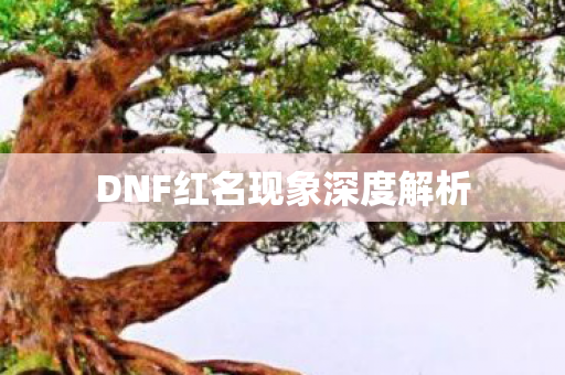 DNF红名现象深度解析