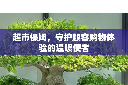超市保姆,守护顾客购物体验的温暖使者 超市保姆,守护顾客购物体验的温暖使者