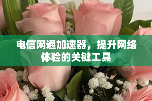 电信网通加速器,提升网络体验的关键工具 电信网通加速器,提升网络体验的关键工具