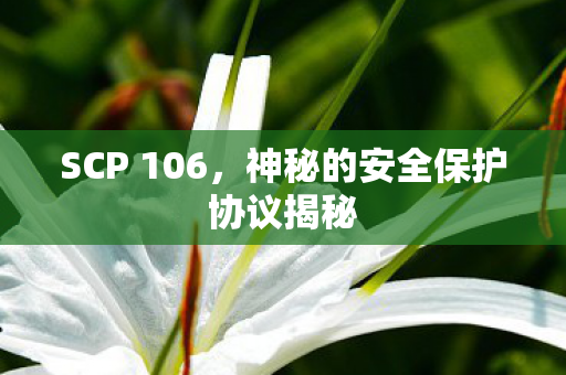 SCP 106,神秘的安全保护协议揭秘 SCP 106,神秘的安全保护协议揭秘