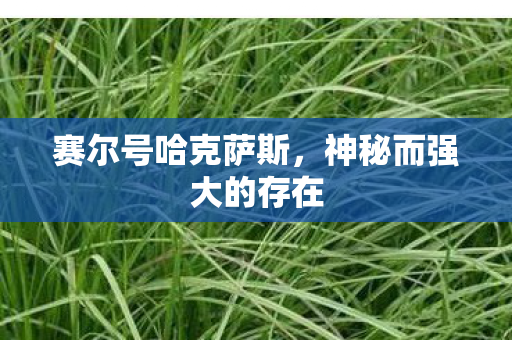 赛尔号哈克萨斯,神秘而强大的存在 赛尔号哈克萨斯,神秘而强大的存在