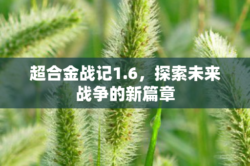 超合金战记1.6,探索未来战争的新篇章 超合金战记1.6,探索未来战争的新篇章