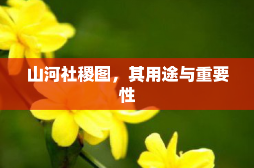 山河社稷图,其用途与重要性 山河社稷图,其用途与重要性