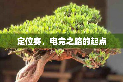 定位赛，电竞之路的起点