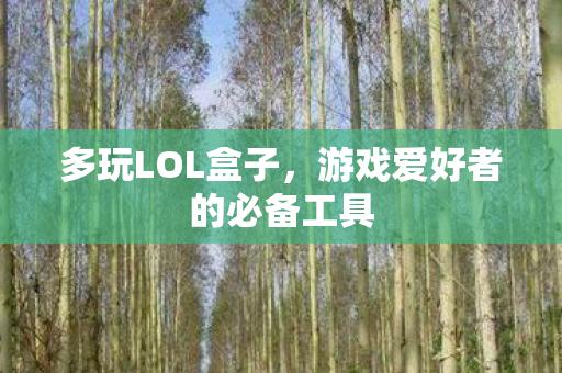多玩LOL盒子，游戏爱好者的必备工具