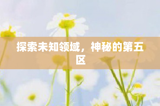 探索未知领域，神秘的第五区