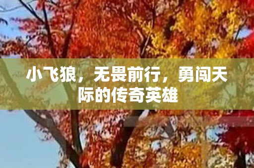 小飞狼,无畏前行,勇闯天际的传奇英雄 小飞狼,无畏前行,勇闯天际的传奇英雄