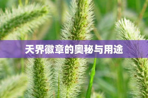 天界徽章的奥秘与用途 天界徽章的奥秘与用途