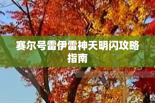 赛尔号雷伊雷神天明闪攻略指南