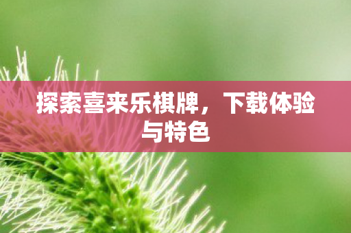 探索喜来乐棋牌,下载体验与特色 探索喜来乐棋牌,下载体验与特色