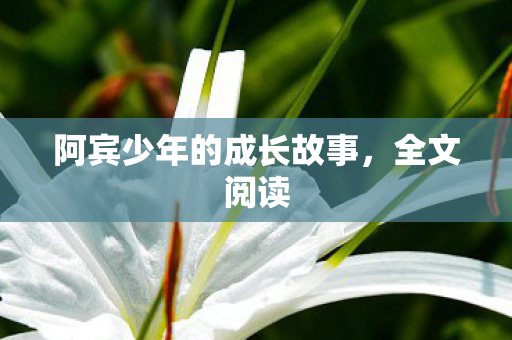 阿宾少年的成长故事,全文阅读 阿宾少年的成长故事,全文阅读
