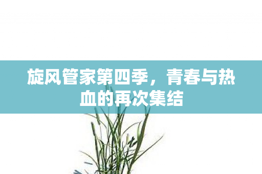 旋风管家第四季,青春与热血的再次集结 旋风管家第四季,青春与热血的再次集结