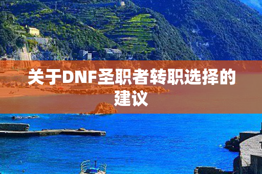 关于DNF圣职者转职选择的建议 关于DNF圣职者转职选择的建议
