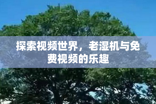 探索视频世界,老湿机与免费视频的乐趣 探索视频世界,老湿机与免费视频的乐趣