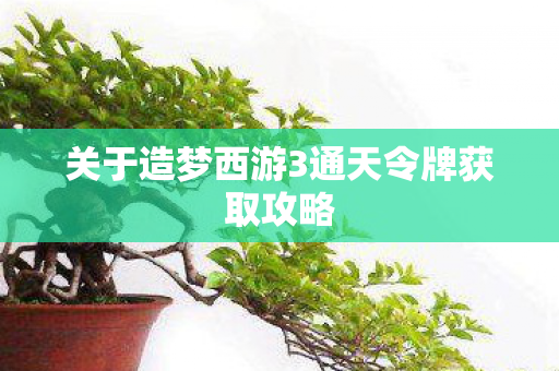 关于造梦西游3通天令牌获取攻略