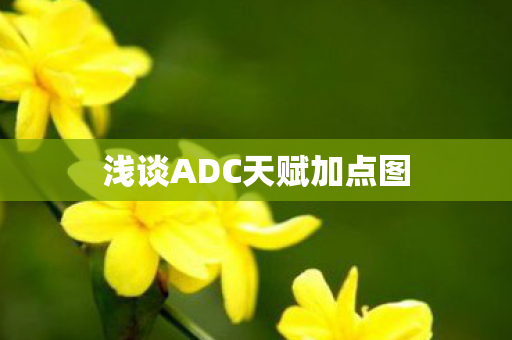 浅谈ADC天赋加点图 浅谈ADC天赋加点图