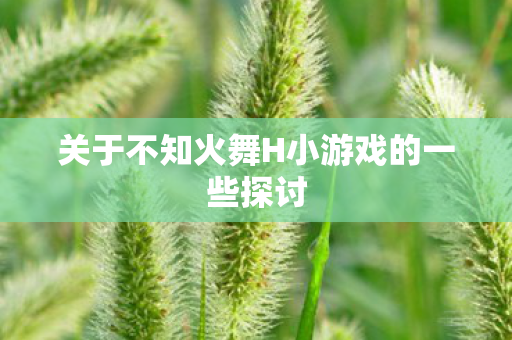 关于不知火舞H小游戏的一些探讨 关于不知火舞H小游戏的一些探讨