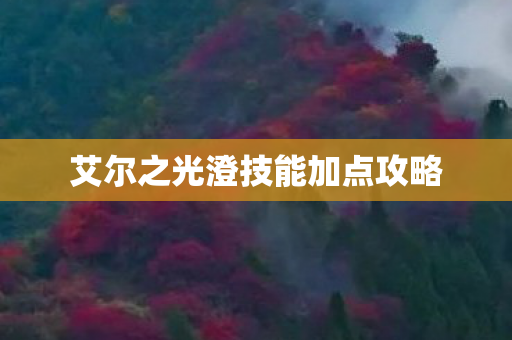 艾尔之光澄技能加点攻略 艾尔之光澄技能加点攻略