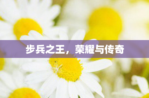 步兵之王,荣耀与传奇 步兵之王,荣耀与传奇