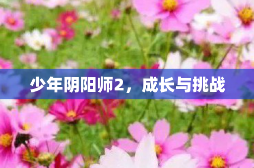 少年阴阳师2,成长与挑战 少年阴阳师2,成长与挑战