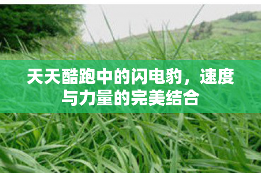 天天酷跑中的闪电豹,速度与力量的完美结合 天天酷跑中的闪电豹,速度与力量的完美结合