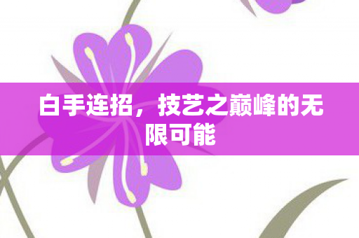 白手连招,技艺之巅峰的无限可能 白手连招,技艺之巅峰的无限可能