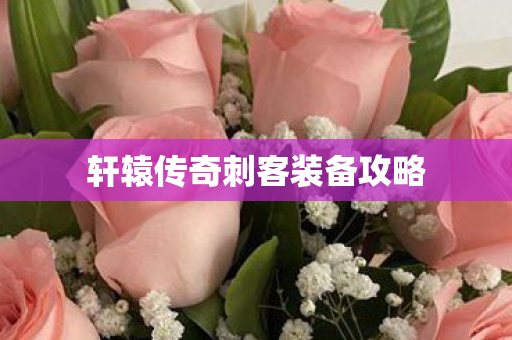 轩辕传奇刺客装备攻略 轩辕传奇刺客装备攻略