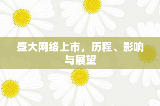 盛大网络上市，历程、影响与展望
