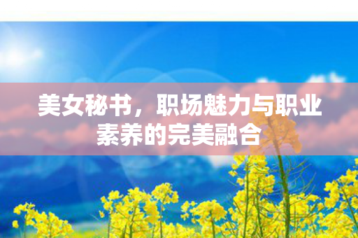 美女秘书，职场魅力与职业素养的完美融合