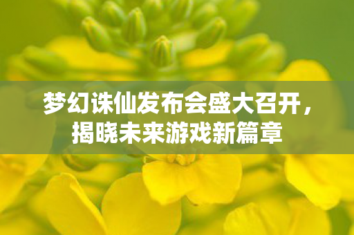 梦幻诛仙发布会盛大召开，揭晓未来游戏新篇章