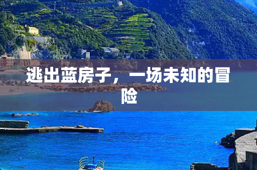 逃出蓝房子,一场未知的冒险 逃出蓝房子,一场未知的冒险