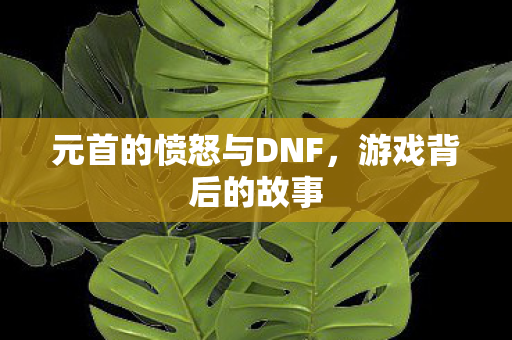 元首的愤怒与DNF,游戏背后的故事 元首的愤怒与DNF,游戏背后的故事