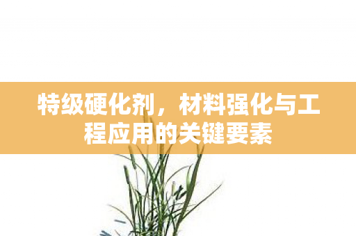 特级硬化剂，材料强化与工程应用的关键要素