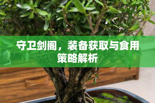 守卫剑阁,装备获取与食用策略解析 守卫剑阁,装备获取与食用策略解析