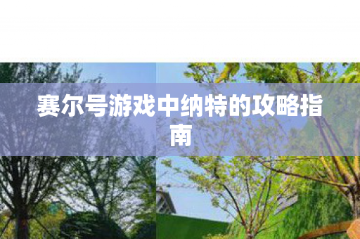 赛尔号游戏中纳特的攻略指南 赛尔号游戏中纳特的攻略指南