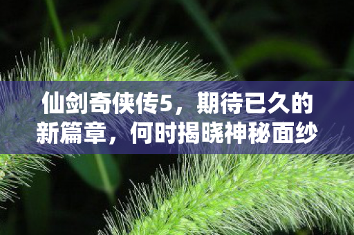 仙剑奇侠传5，期待已久的新篇章，何时揭晓神秘面纱？