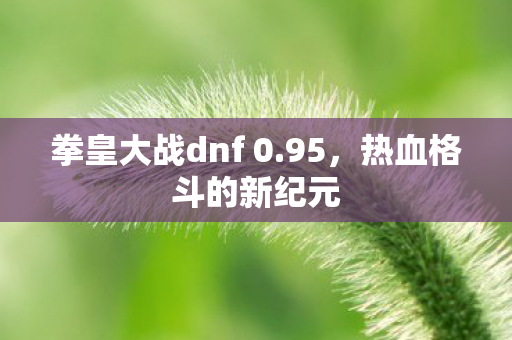 拳皇大战dnf 0.95,热血格斗的新纪元 拳皇大战dnf 0.95,热血格斗的新纪元