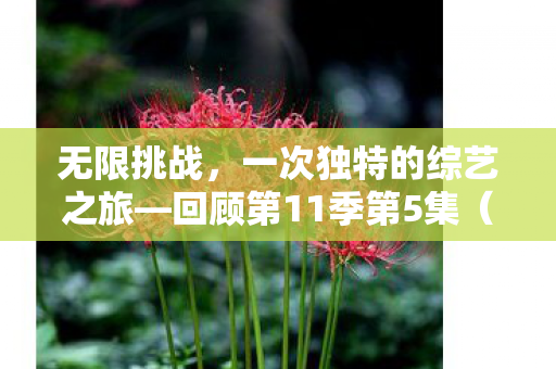 无限挑战,一次独特的综艺之旅—回顾第11季第5集(第11集第7期) 无限挑战,一次独特的综艺之旅—回顾第11季第5集(第11集第7期)