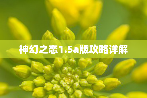 神幻之恋1.5a版攻略详解 神幻之恋1.5a版攻略详解